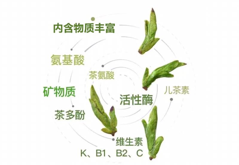 2024年绿茶之《黄山毛峰》新茶春茶特级