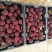 云南杨梅各种品种都有