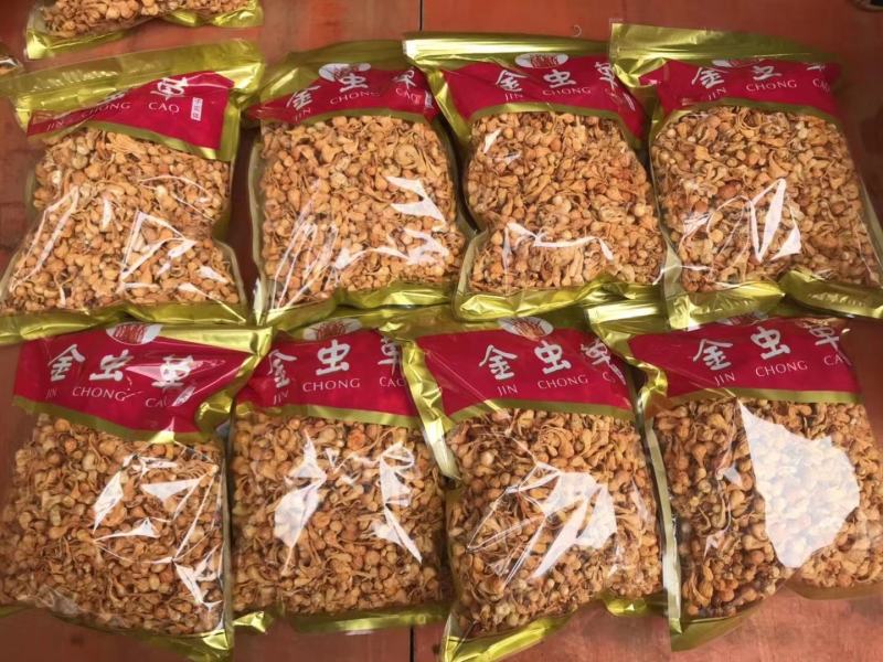 进口金虫草煲汤产地各种规格大量批发，一手货源，价格优惠
