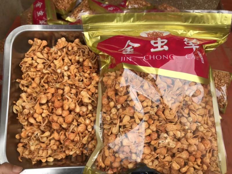 进口金虫草煲汤产地各种规格大量批发，一手货源，价格优惠