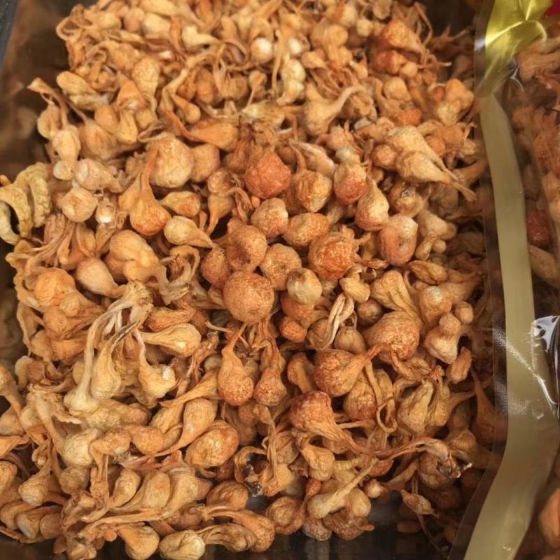 进口金虫草煲汤产地各种规格大量批发，一手货源，价格优惠