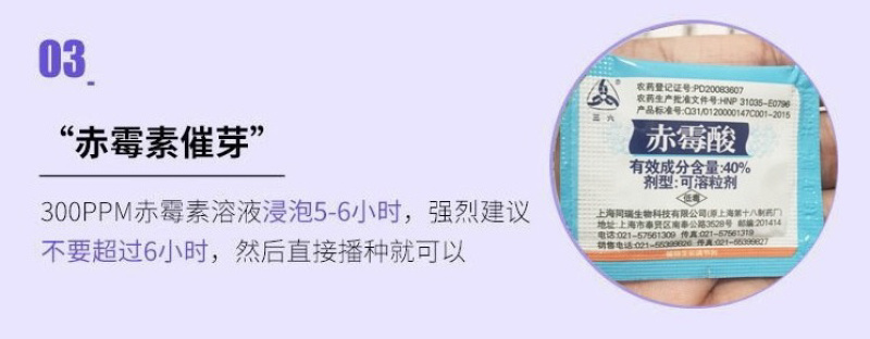 薰衣草种子花卉种子花海阳台庭院高档花卉种子