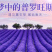 薰衣草种子花卉种子花海阳台庭院高档花卉种子