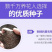 薰衣草种子花卉种子花海阳台庭院高档花卉种子