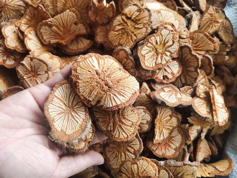 中药材脑血通红藤片大片级别同时可供应小片，货源充足