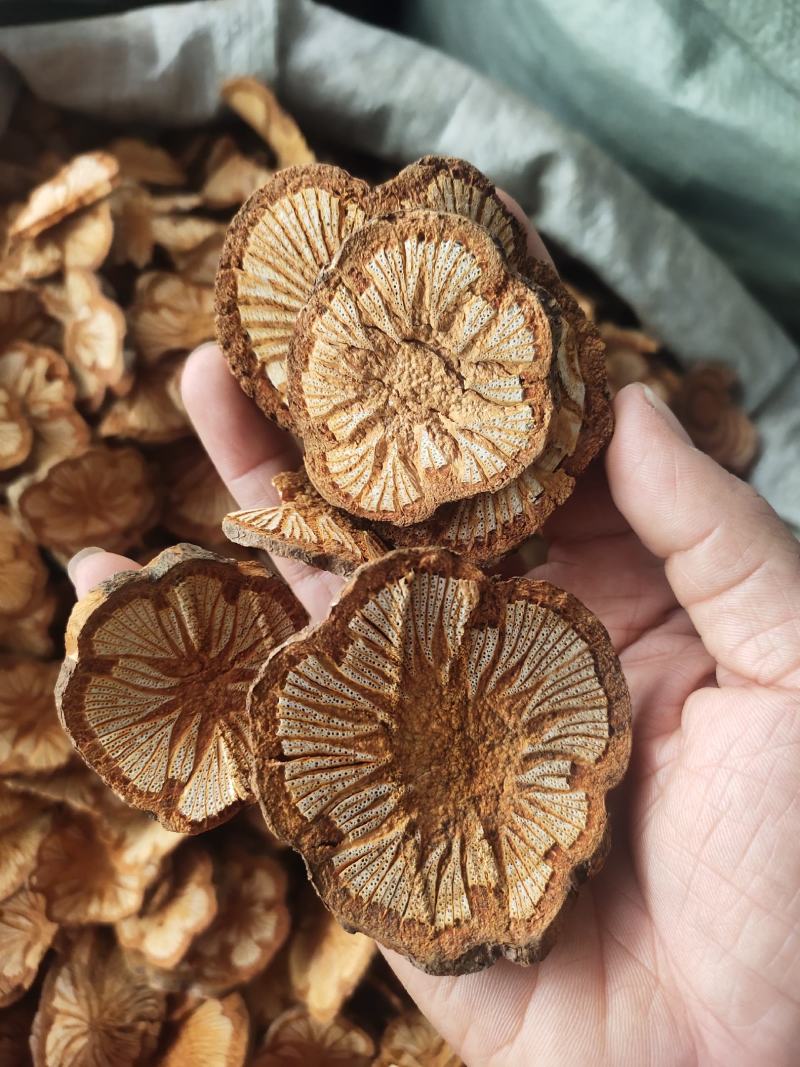 中药材脑血通红藤片大片级别同时可供应小片，货源充足