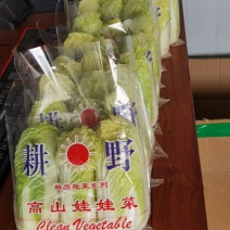 小娃娃菜深加工原包均可，包上车，