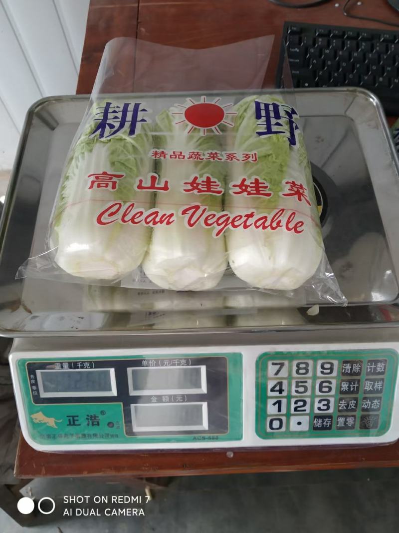 小娃娃菜深加工原包均可，包上车，