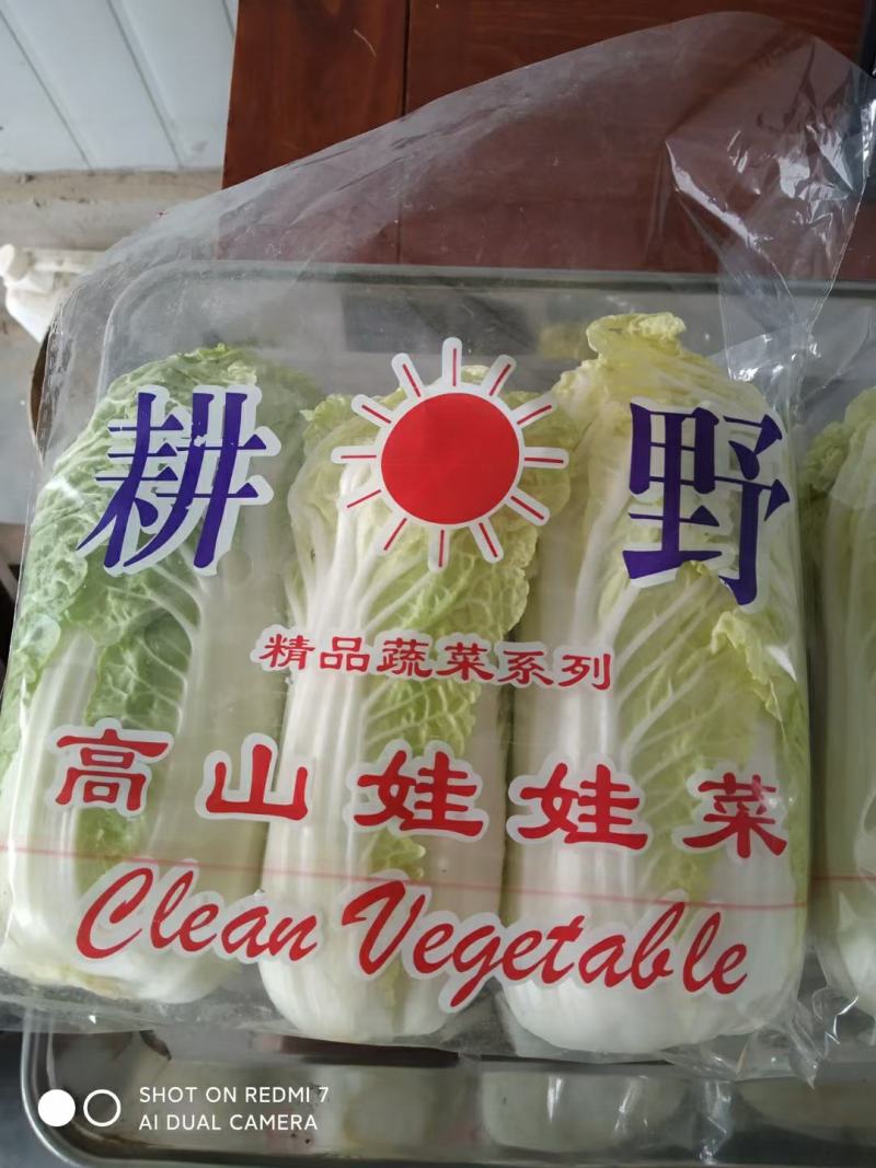 小娃娃菜深加工原包均可，包上车，