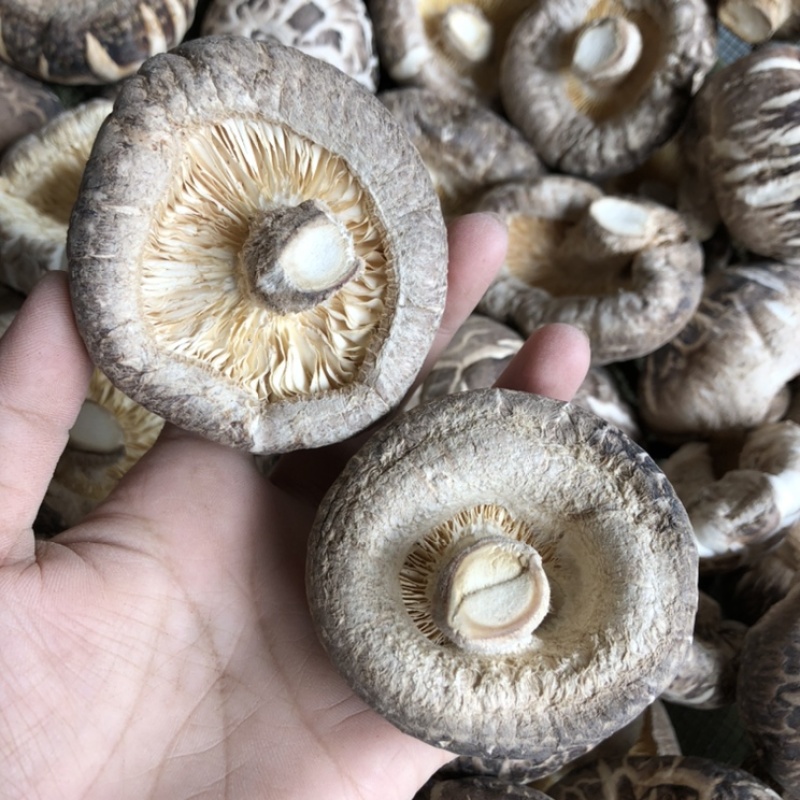 剪脚茶白花菇干货冬菇肉厚蘑菇食用菌干货河南特产原产地批发