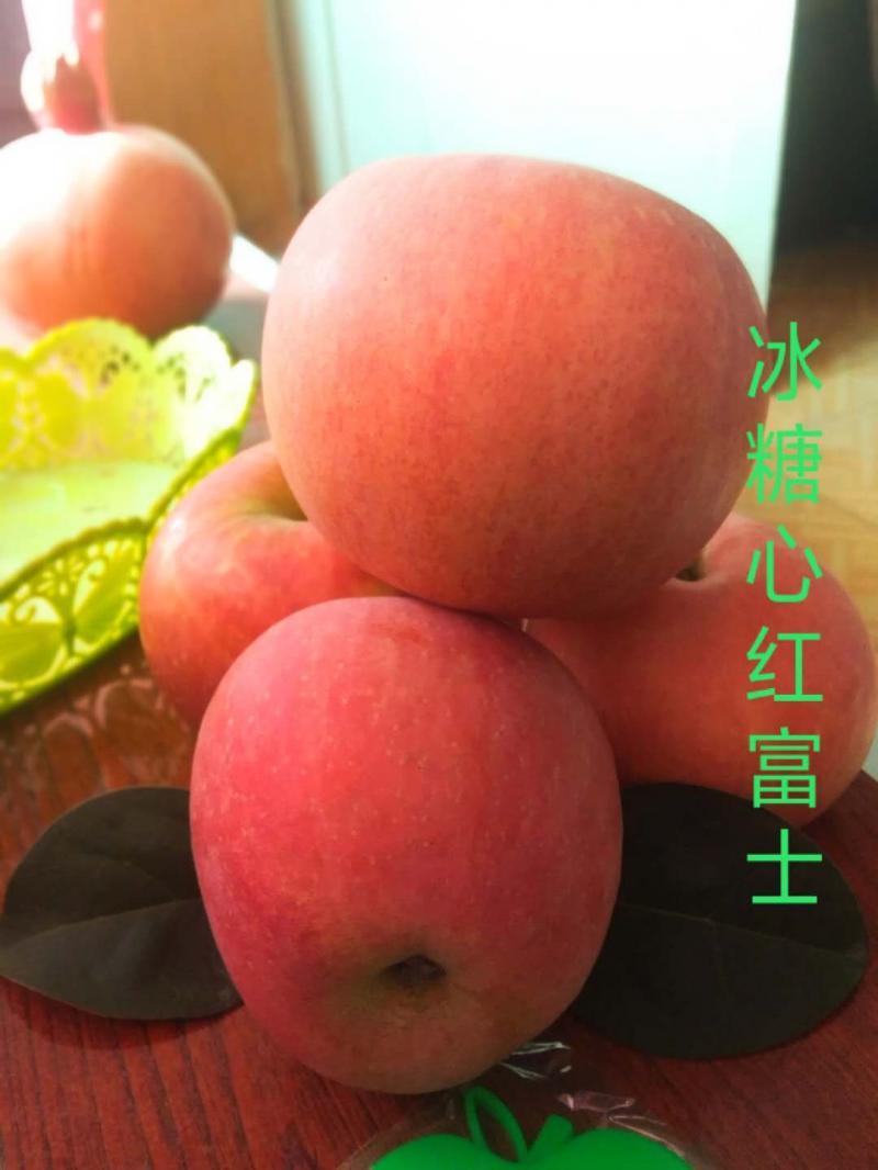 红富士苹果75MM以上统货纸加膜红富士一亩田线上交易