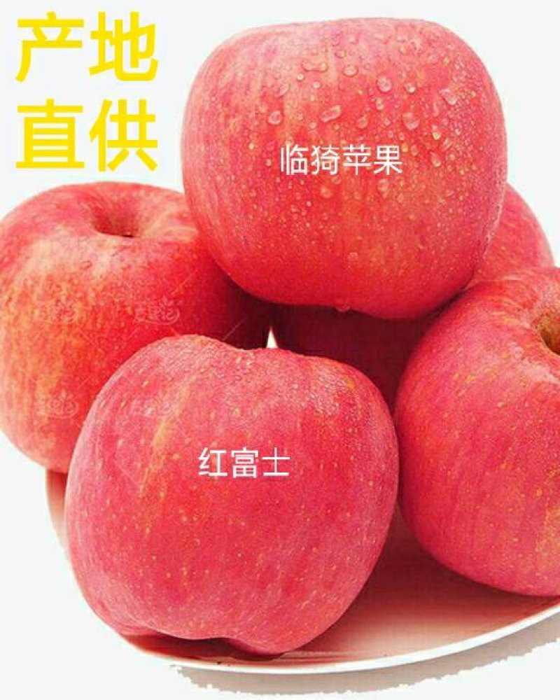 红富士苹果75MM以上统货纸加膜红富士一亩田线上交易