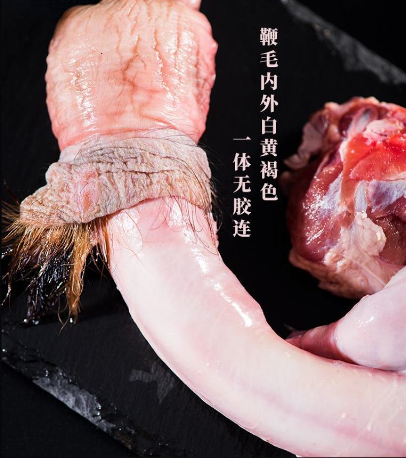 【自家鹿场】鹿鞭鲜整根泡酒煲汤滋补正品保证