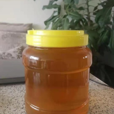 蜂蜜椴树蜜百花蜜