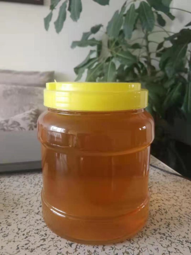 蜂蜜椴树蜜百花蜜