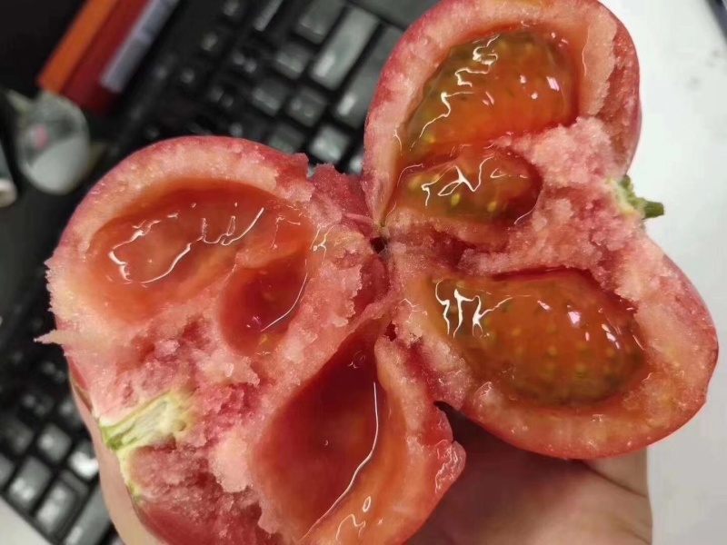 海阳普罗旺斯西红柿整车代发货源充足
