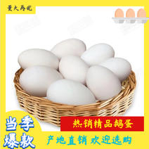 【包邮-60枚土鹅蛋】热销60枚农家饲养非双黄蛋土鹅蛋