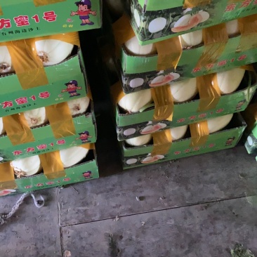 台州正宗东方蜜又脆又甜