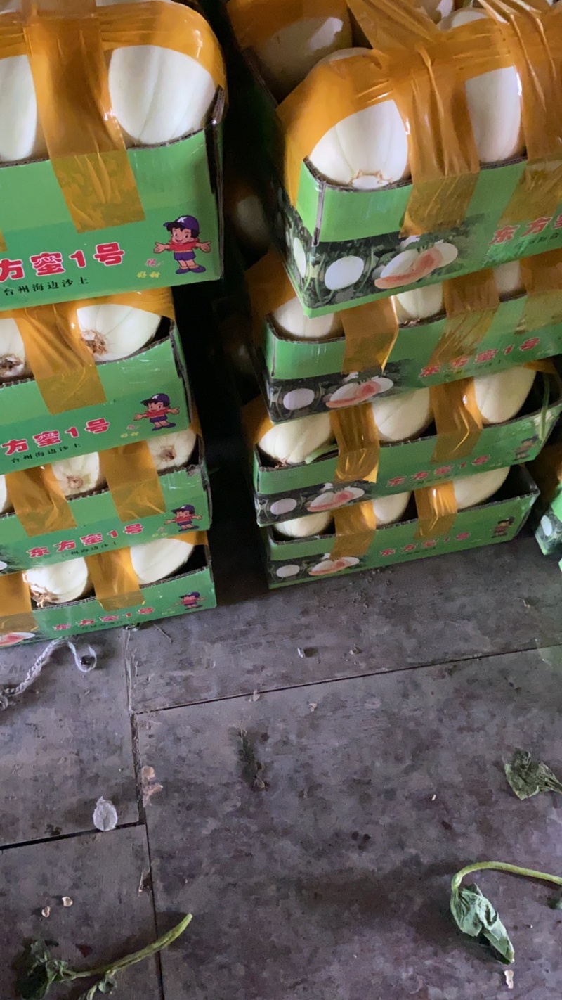 台州正宗东方蜜又脆又甜