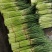 2026年早熟红帽蒜薹大量供应，实力代办每天供应50吨