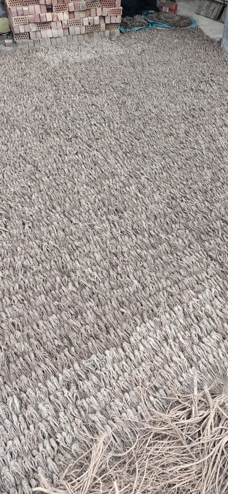 当归规格齐全厂家直销保证随时有货，全国包邮