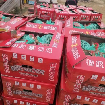 无籽美都，口敢纯正，欢迎大家前来产地采购