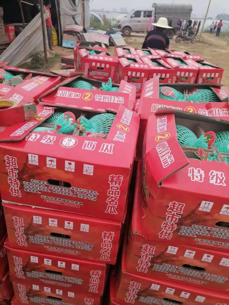 无籽美都，口敢纯正，欢迎大家前来产地采购