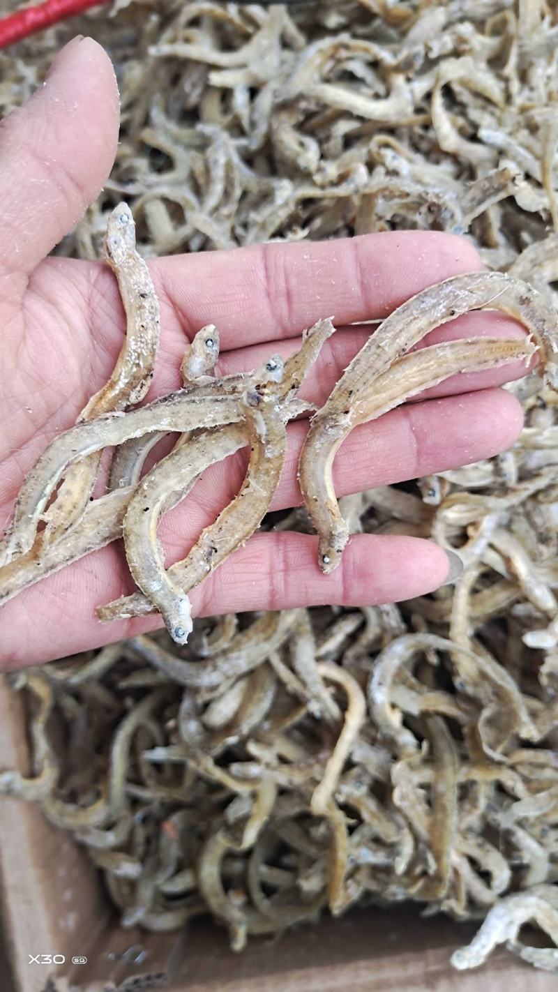 黄金凤尾鱼熟鱼干麻辣鱼油炸鱼食材视频看货产地直发量大从优