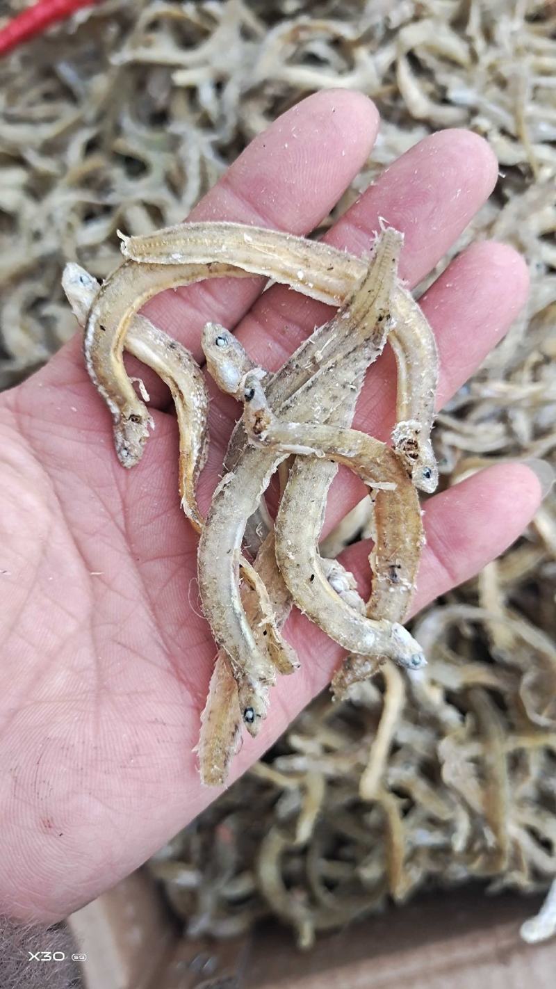 黄金凤尾鱼熟鱼干麻辣鱼油炸鱼食材视频看货产地直发量大从优