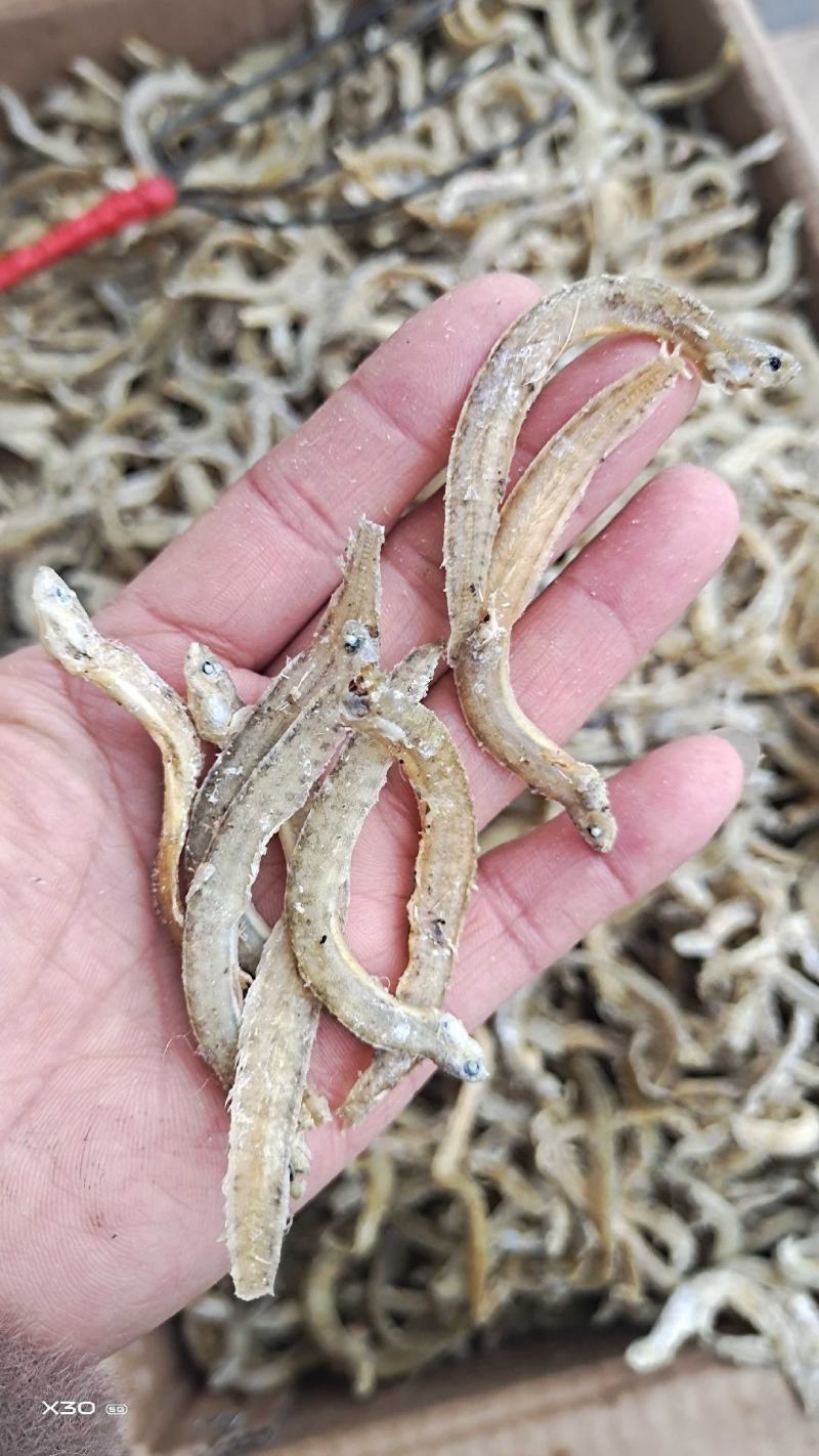 黄金凤尾鱼熟鱼干麻辣鱼油炸鱼食材视频看货产地直发量大从优