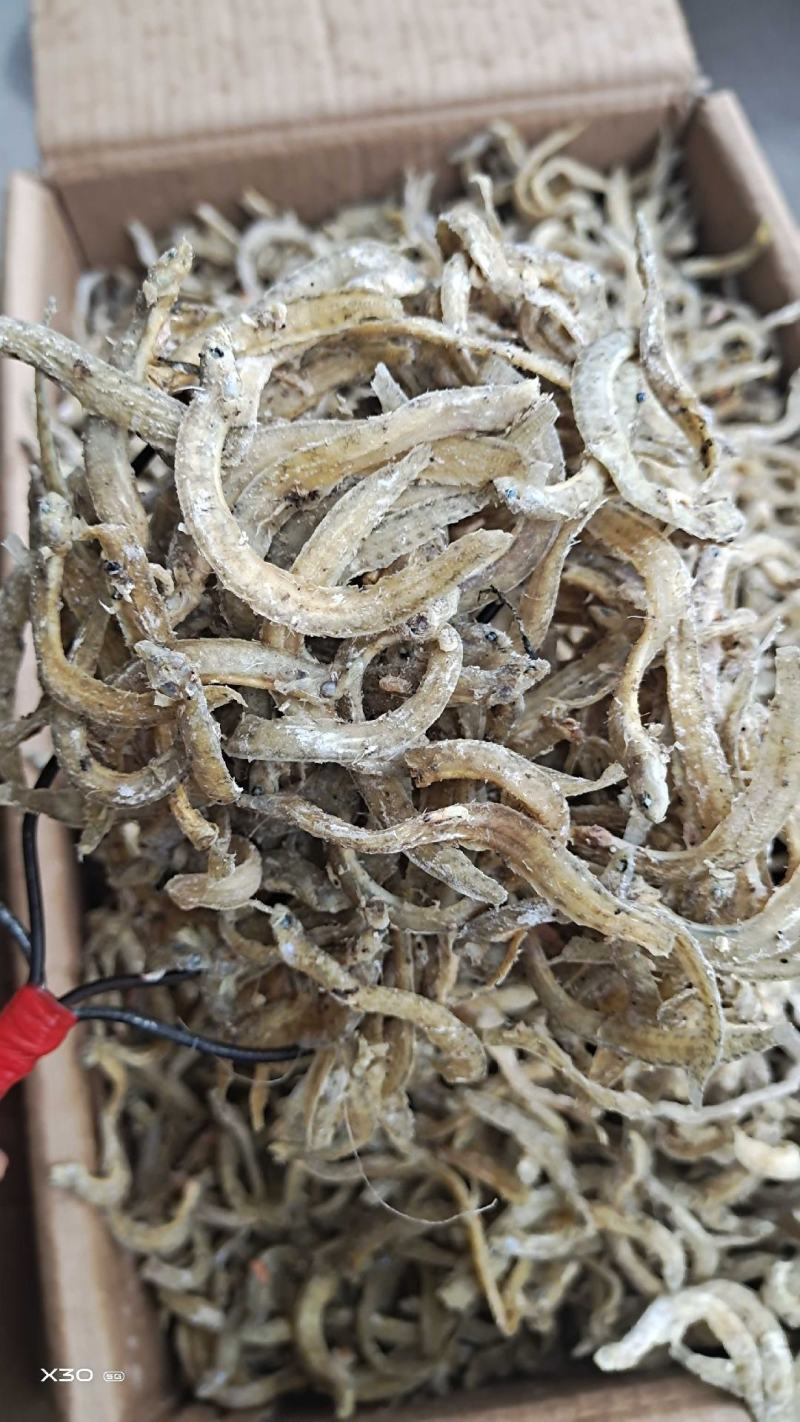 黄金凤尾鱼熟鱼干麻辣鱼油炸鱼食材视频看货产地直发量大从优