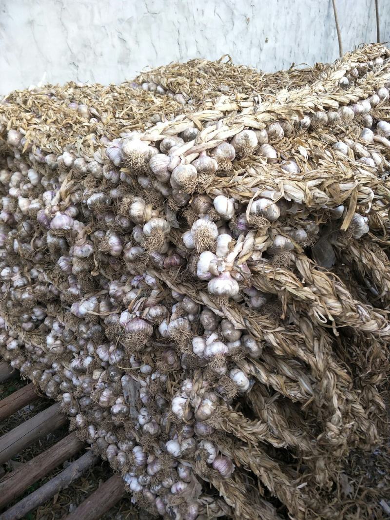 河北保定鸿兴蒜业…诚信经营管理…顾客至上