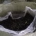 广西西林黄山毛峰茶厂家直销两百度高温加工的干茶可长期保存