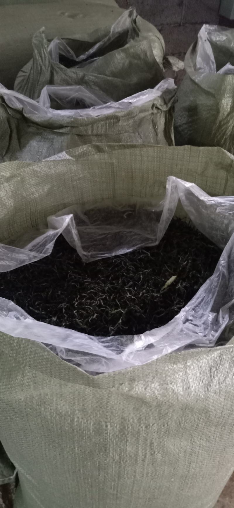 广西西林黄山毛峰茶厂家直销两百度高温加工的干茶可长期保存