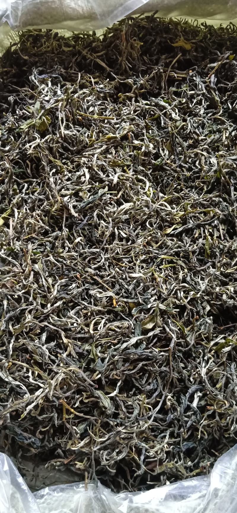 广西西林黄山毛峰茶厂家直销两百度高温加工的干茶可长期保存