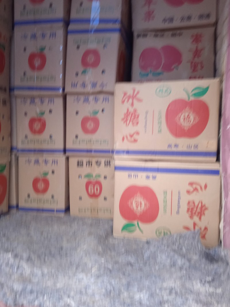 冷库山东山西陕西纸袋膜袋萍果大量有货