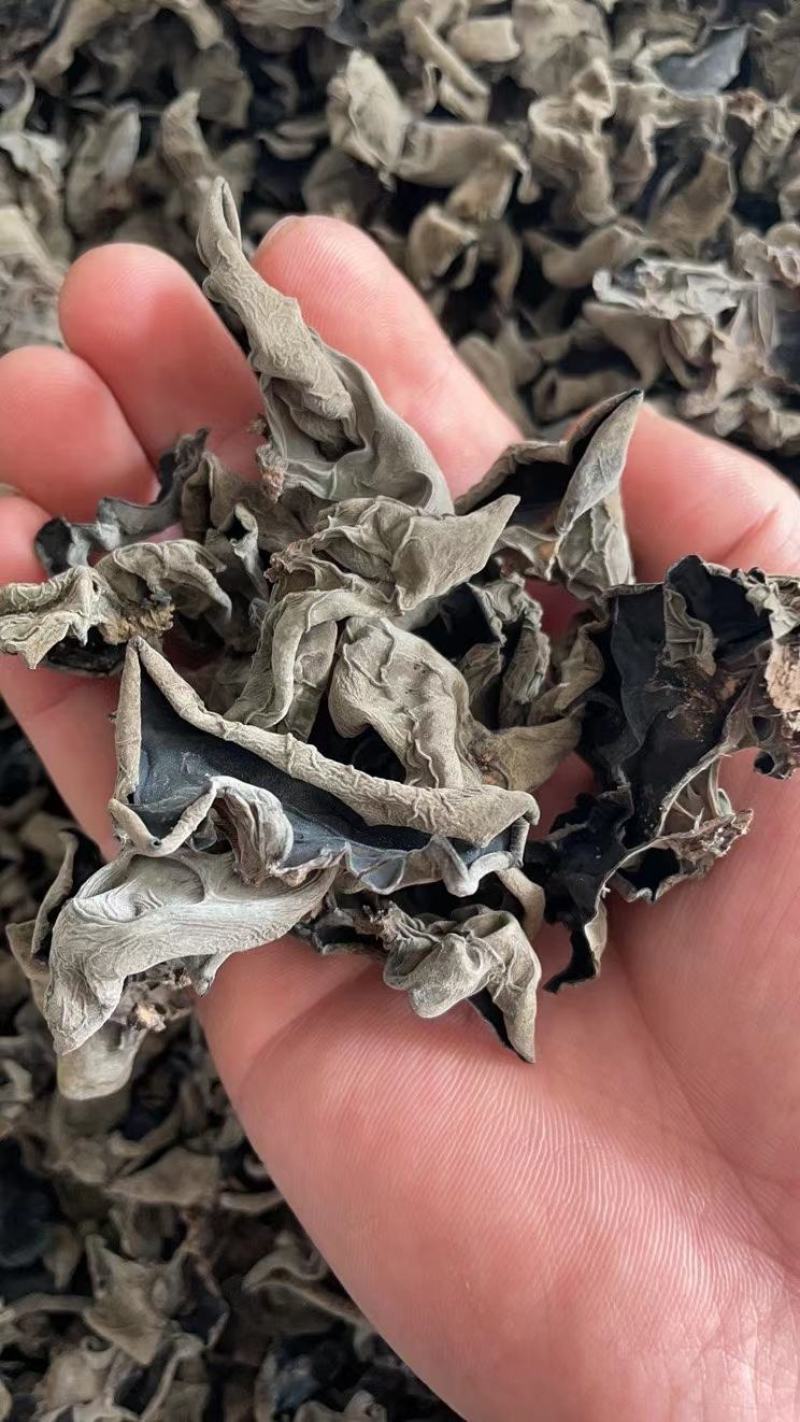 木耳【便宜好货】黑木耳长白山特产！量大优惠！产地直销