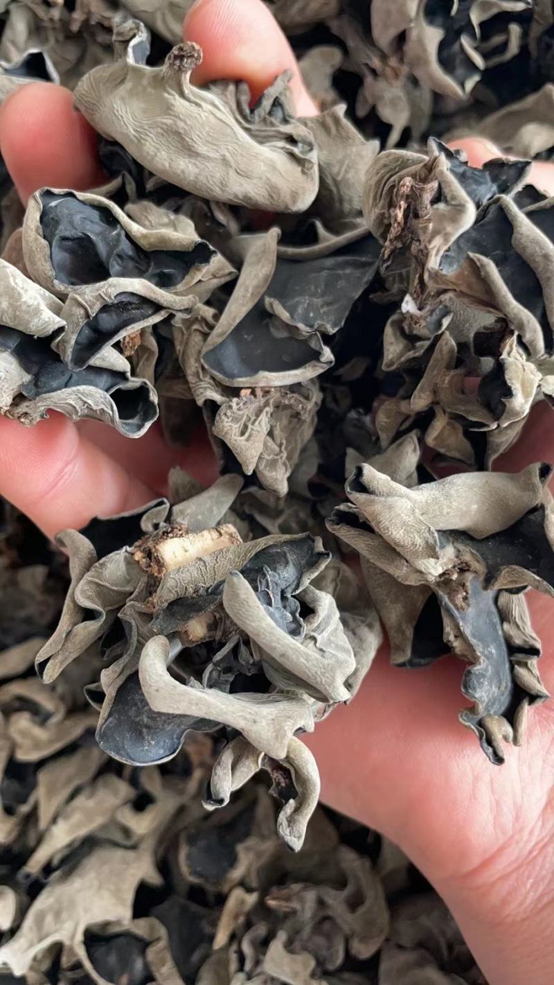 木耳【便宜好货】黑木耳长白山特产！量大优惠！产地直销