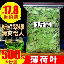 薄荷叶薄荷叶茶干薄荷叶食用新鲜干薄荷叶泡水清凉饮