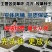 果岭草种子进口草坪种子庭院别墅绿化草籽草种子耐践踏四