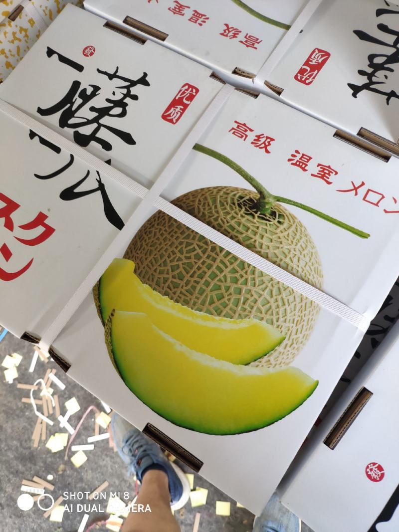 香瓜甜瓜鲁厚甜网纹瓜玫珑甜瓜网红瓜