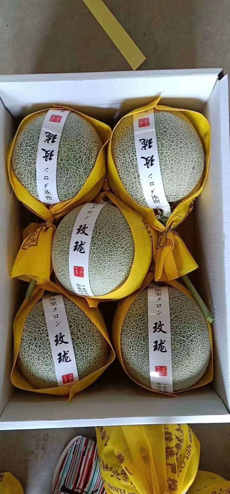 香瓜甜瓜鲁厚甜网纹瓜玫珑甜瓜网红瓜