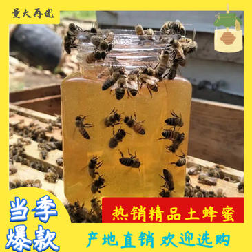【求购买】热销河南农家自产深山百花蜜新鲜原蜜土蜜蜂