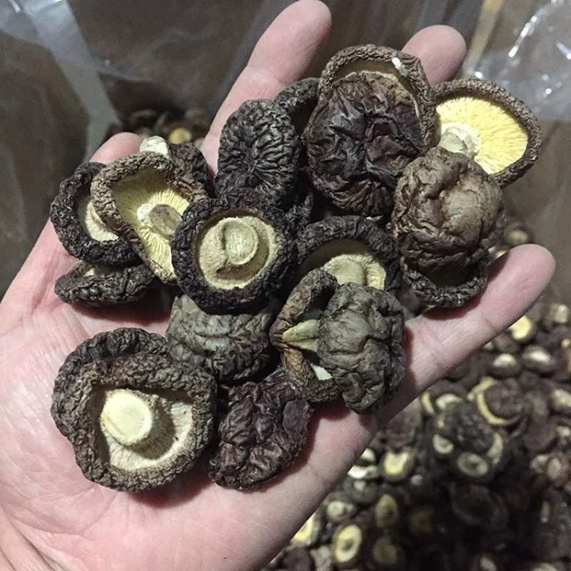 【热销】优质黑香菇食用菌冬菇花菇干货产地直销