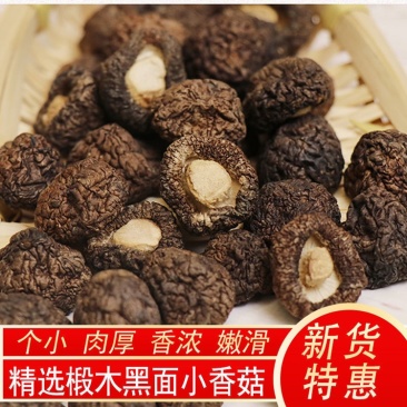 【热销】优质黑香菇食用菌冬菇花菇干货产地直销