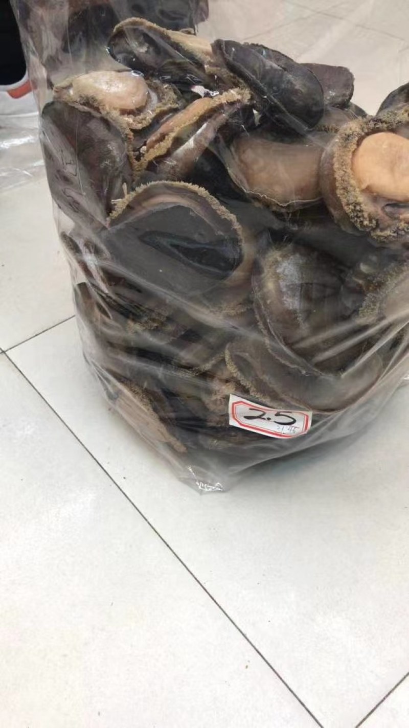 自然生长十头活冻湛江鲍鱼，肉质鲜美，价格美丽