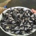 罗非鱼苗海南壹号罗非鱼包技术指导量大从优全国发货