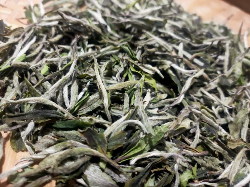 2021年福鼎白茶牡丹王