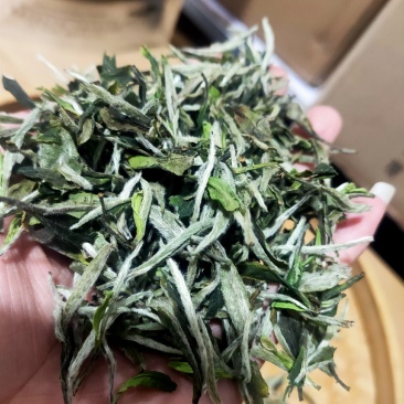 2021年福鼎白茶牡丹王