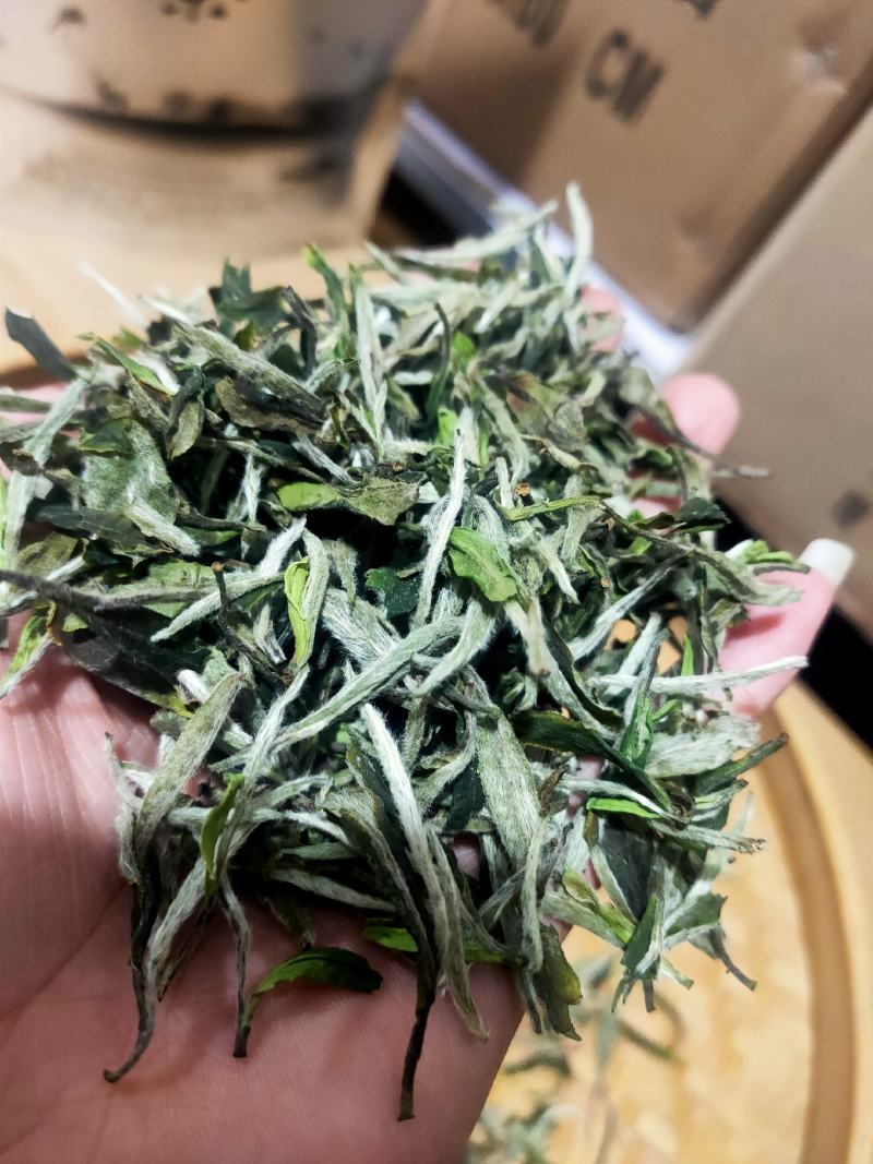 2021年福鼎白茶牡丹王